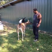 Adam Alderson profile photo