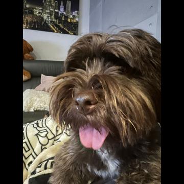 Adam Karulak profile photo