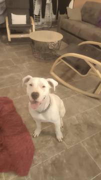 Edouard Fevre profile photo