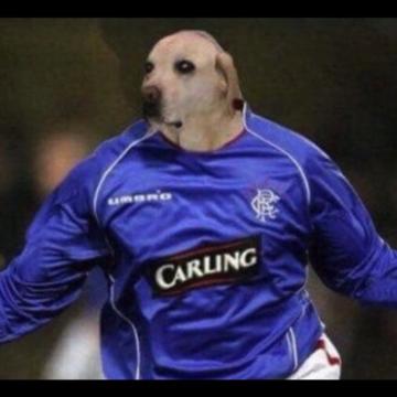 Michael Armstrong profile photo