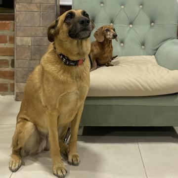 Leonardo Ludena profile photo