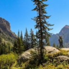 Anna Oggeri profile photo