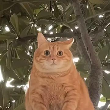 AHN SANGSEUK profile photo