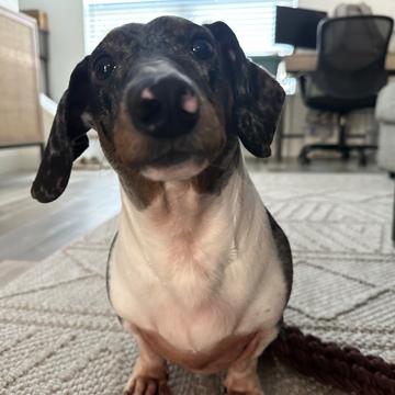 Michael Barron profile photo