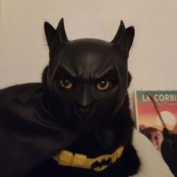 Guilhem kauffmann profile photo