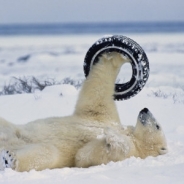 Eric Doucet profile photo