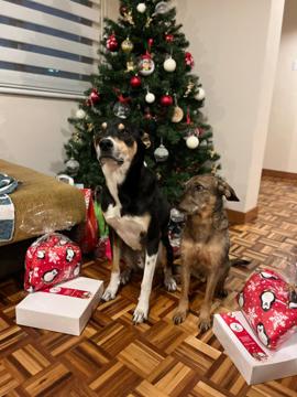 Nicolas Jaramillo profile photo