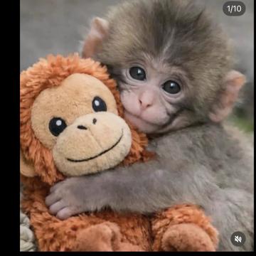 Robyn Paulson profile photo