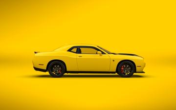 Kyle Schott profile photo