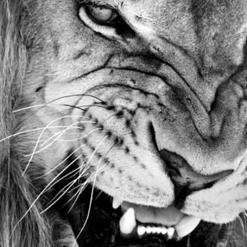 Jakub Hucko profile photo