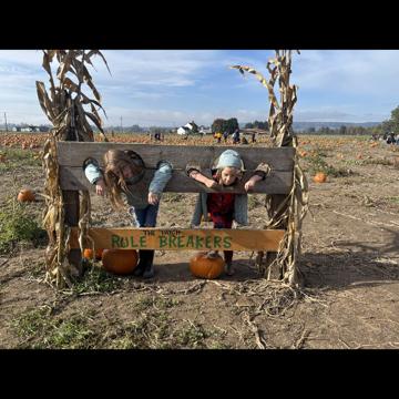 Will Matthews profile photo