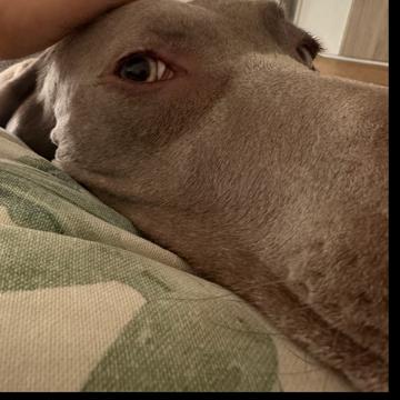 Lidia Alonso profile photo