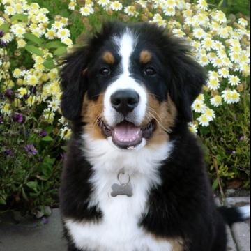 Bryan Niemiec profile photo