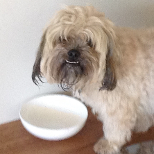 Kobe Bosma profile photo