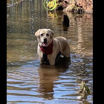 Scott Jacobsen profile photo