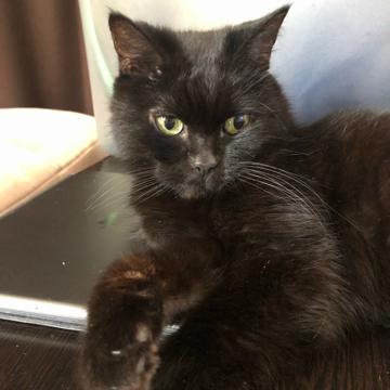 Anelė Leonaitė profile photo