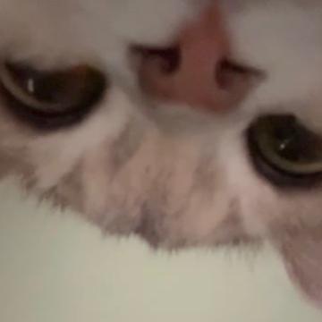 Yating Zhou profile photo