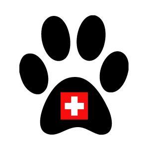 Claire Bertolini profile photo