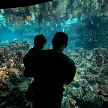 Nick Fegley profile photo