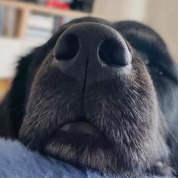 Marianne Kupetz profile photo