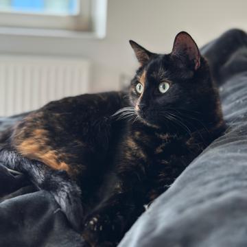 Robin Lodder profile photo