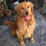 Jessica Widmann profile photo