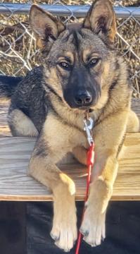 Desiree Wyatt profile photo