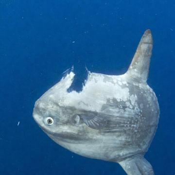 Jun Kiat Koh profile photo