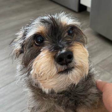 Sarah Viggers profile photo