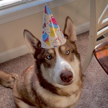 Brandon Dupell profile photo