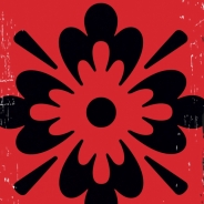 Mindy Ronstadt profile photo