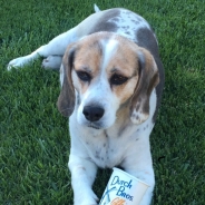 Janna Kelly profile photo