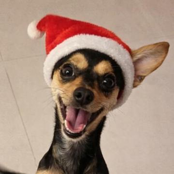 Thiago Mendonça profile photo