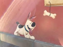 Clive Davidson profile photo