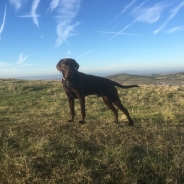 Charlie Gardiner profile photo