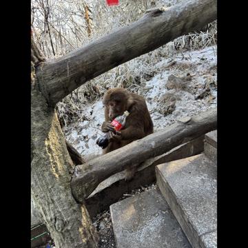 Darren Darren profile photo