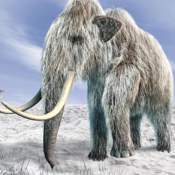 Helmut Wiegisser profile photo