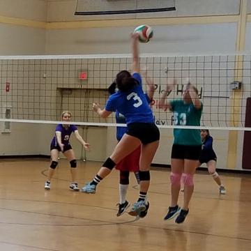 Dana Bertrand profile photo