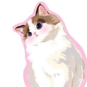 Lhakpa Lama profile photo