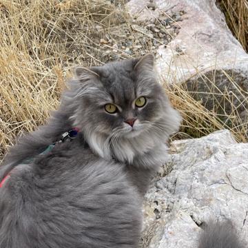 Alex Pommier profile photo