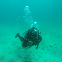 Ernesto Hurtado profile photo