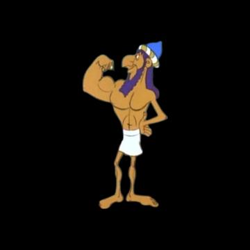 Jobrane KANDRI profile photo