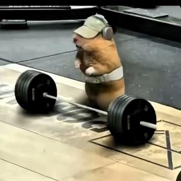 Sam Braun profile photo