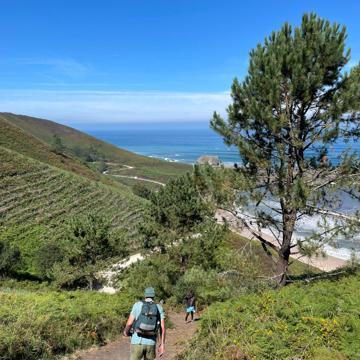 Jorge Lozano prado profile photo