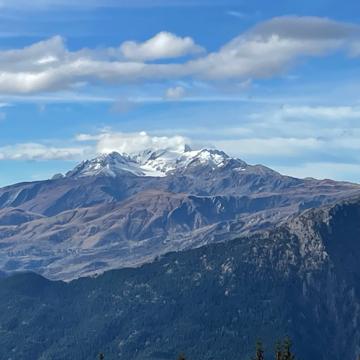 Julien COURT profile photo