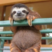 Sylvia Pavich profile photo