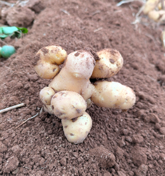 Owen Hebb profile photo