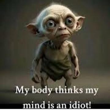 Evaldas Stanionis profile photo