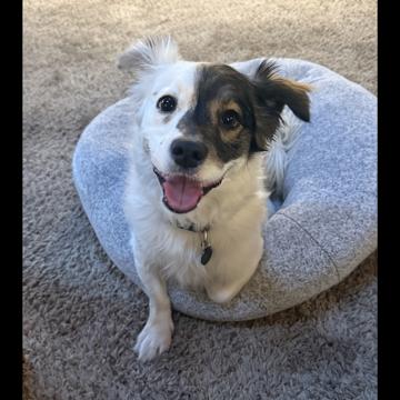 Joanne Kim profile photo