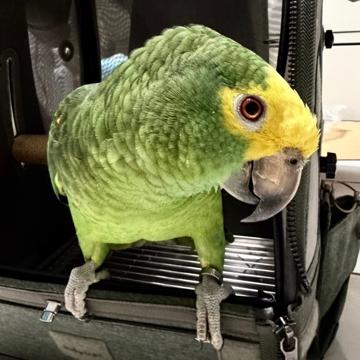 Freda Teng profile photo